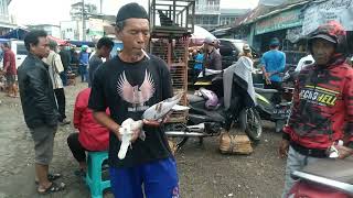 PASAR MERPATI KERTEK WONOSOBO JAWA TENGAH