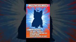 Who&#39;s that dog breed! #4