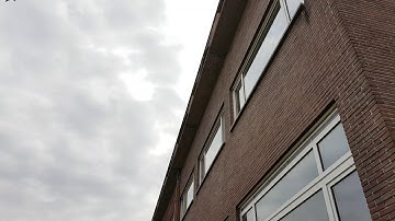 Gierzwaluwen Bloemenbos Zelzate zoeken nest