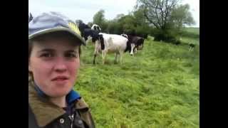 Farmer weekly apprentice entry 2014  Liz hutchinson