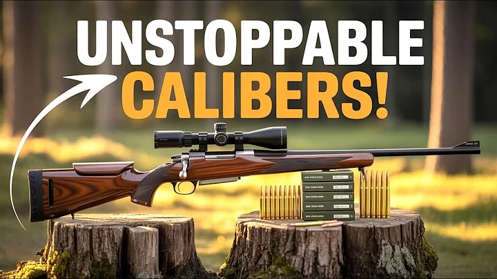 Top 5 Calibers for Deer, Elk & Bear — Expert Picks You Can Trust!