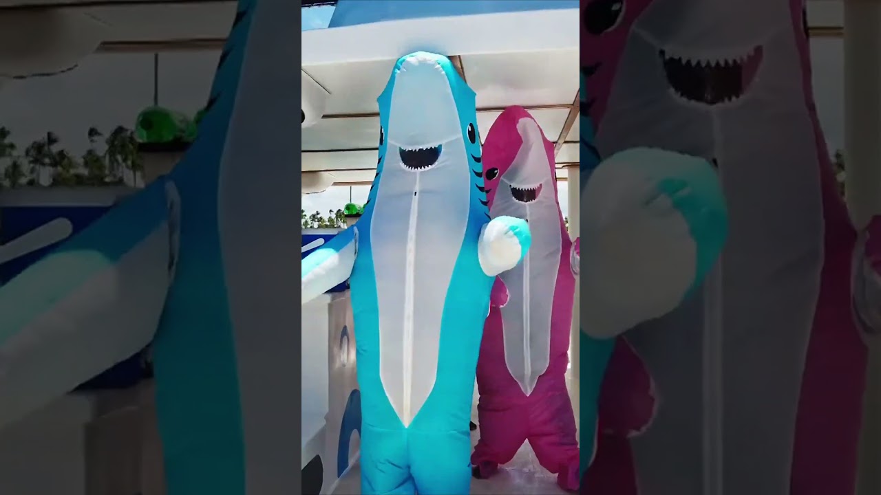 This is what 3 hours on a catamaran