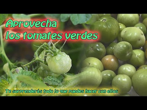 Video: Recetas Para Preparaciones De Tomates Para El Invierno