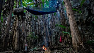 นอนบนต้นกล้วยป่าสูงในป่ากล้วยสุดทึบ หลังนอนกล้องบันทึกได้เสียงน่ากลัวสุดหลอน กลับมาเปิดดูขนลุกซู่