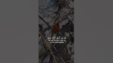 Surah Al Isra | سورة الاسرا |#اسرا#الاسرا#الاسراء_والمعراج #alisra #isra #allah #allah100k #allahu