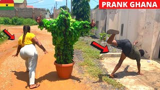 SCATTER IN TOWN! Classic Prank Ghana Throwback. Bushman | Gorilla | Angry Dog Compilations.