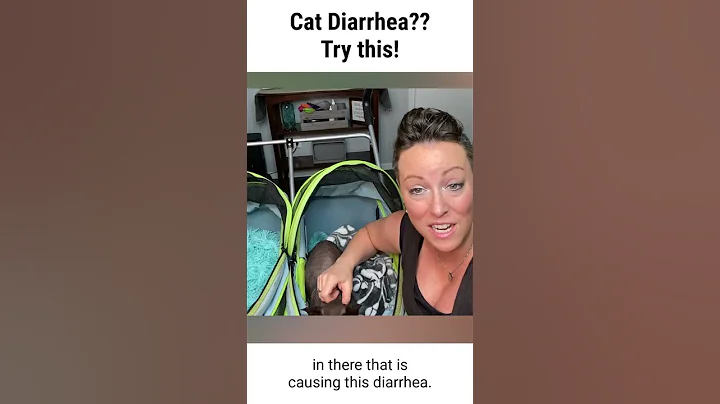 If your Cat has Diarrhea... TRY THIS! - DayDayNews