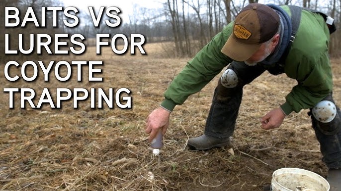 Trapping Lure Selection Simplified 
