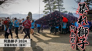 【阿島獅子2024】境内暴れ獅子：後半 (本祭)