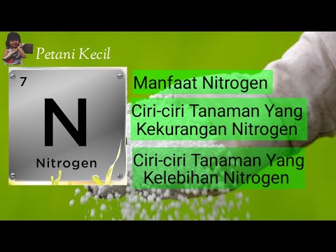 Video: Apakah ciri-ciri penting kitar nitrogen?