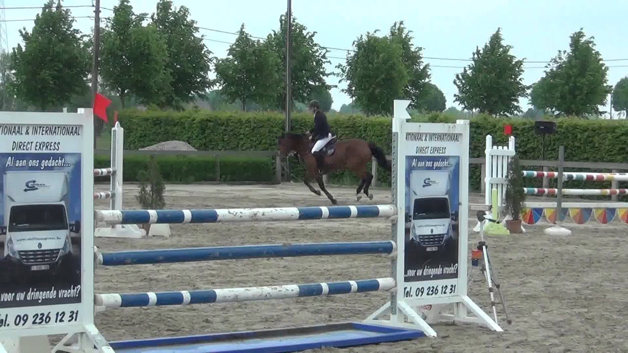 Cayenne de la Vie (Chacco-Blue x Alexis Z x Lord Calando)