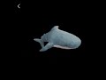 Spinning Shark Plush