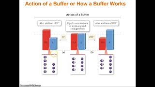 118 Aqueous Ionic Equilibrium Part 4 Stressing a Buffer   YouTube