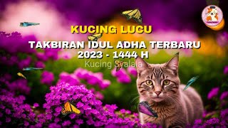Kucing Lucu Takbiran Merdu 2023 - Gema Takbir Tanpa Musik Terbaru - Hari Raya Idul Adha 1444H