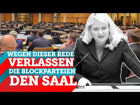 Altparteien überlassen der AfD das KOMPLETTE Parlament.