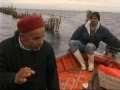 Tunisia Saving A Sea Saving A Culture Tunisia Saving A Sea Saving A Culture