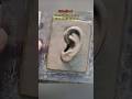 How to Sculpt an Ear in Clay / Clay Art / Ear anatomy #clay #clayart #shorts