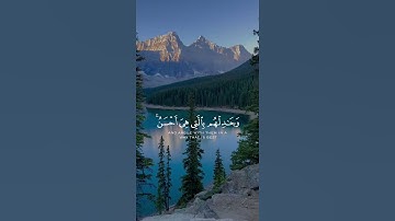 سورة النحل || القارئ عبدالرحمن العمري #القارئ_عبدالرحمن_العُمري