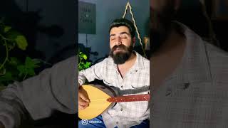 Şeva tarî #music #cover #türkülerimiz #türkü #kürtçe Resimi