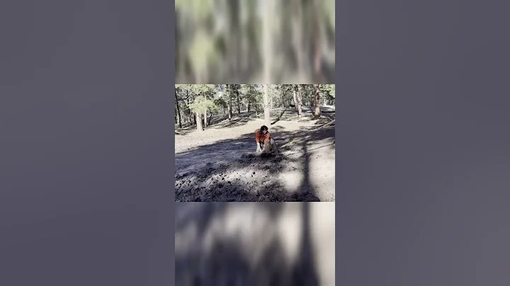 Real Life Superheroes Caught on Camera #shorts