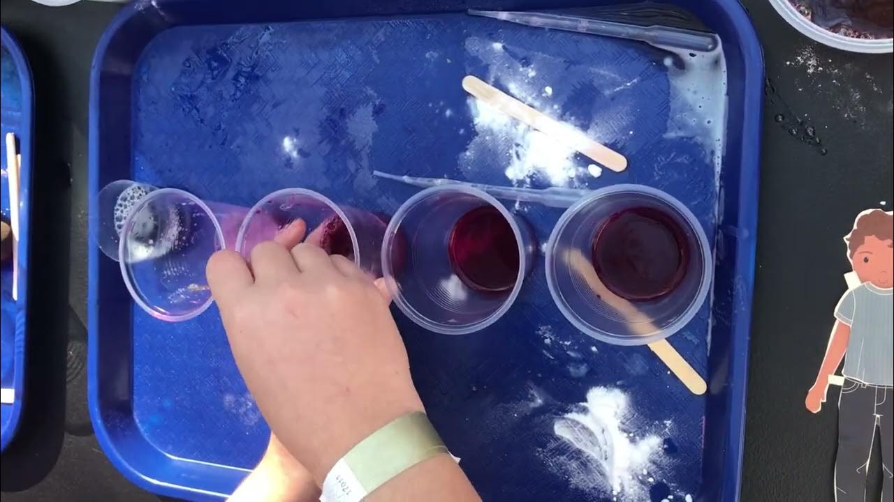 PH indicator red cabbage juice science experiment YouTube