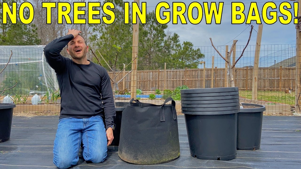 DON'T Plant Fruit Trees In Fabric Grow Bags!!! 