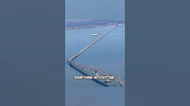 Plane Stuck In Mid Air😨 But Why?