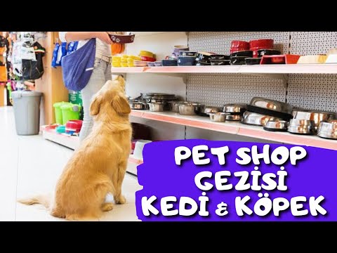 Pet Shop Kopek Fiyatlari Mp3 Mp4 Indir Dur