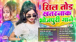 सिल तोड़ खतरनाक गाने | #Nonstop | #भोजपुरी #आर्केस्ट्रा| New Bhojpuri Nonstop #jukebox #Bhojpuri Gana