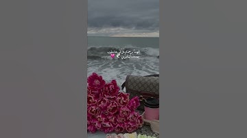 تلاوة تنسيك هموم الدنيا كلها 😭❤️ أجمل حالات واتس مقطع قران قصير Quran بصوت جميل جدا 🌟♥️