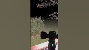 This Thing Lights Up My Entire Yard (EGO Portable Light)