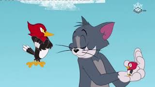 Tom si Jerry ~   Destinatia acasa   ~ Desene animate traduse dublate in romana