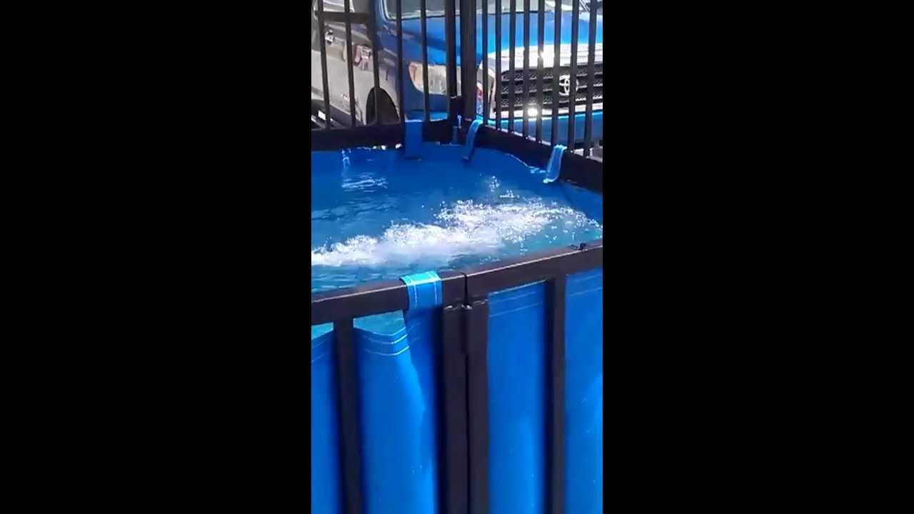 camera iphone 8 plus apk DUNK TANK #2 JUMP N PARTY INFLATABLES 951-823-9279