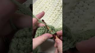 Crochet Narrow Cables #crochet #crochetcables