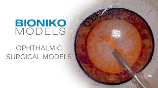 Bioniko: Innovating Simulation