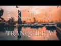 إذا ضاقت بك الدنيا.. استمع إلى هذه الآيات | راحة نفسية فورية مع أحمد النفيس