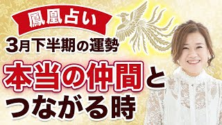 【鳳凰占い】3月下半期の運勢　本当の仲間とつながる時