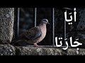أبو فراس الحمداني يناجي الحمامة قصيدة بالذكاء الاصطناعي اداء خيااااالي بدون موسيقى