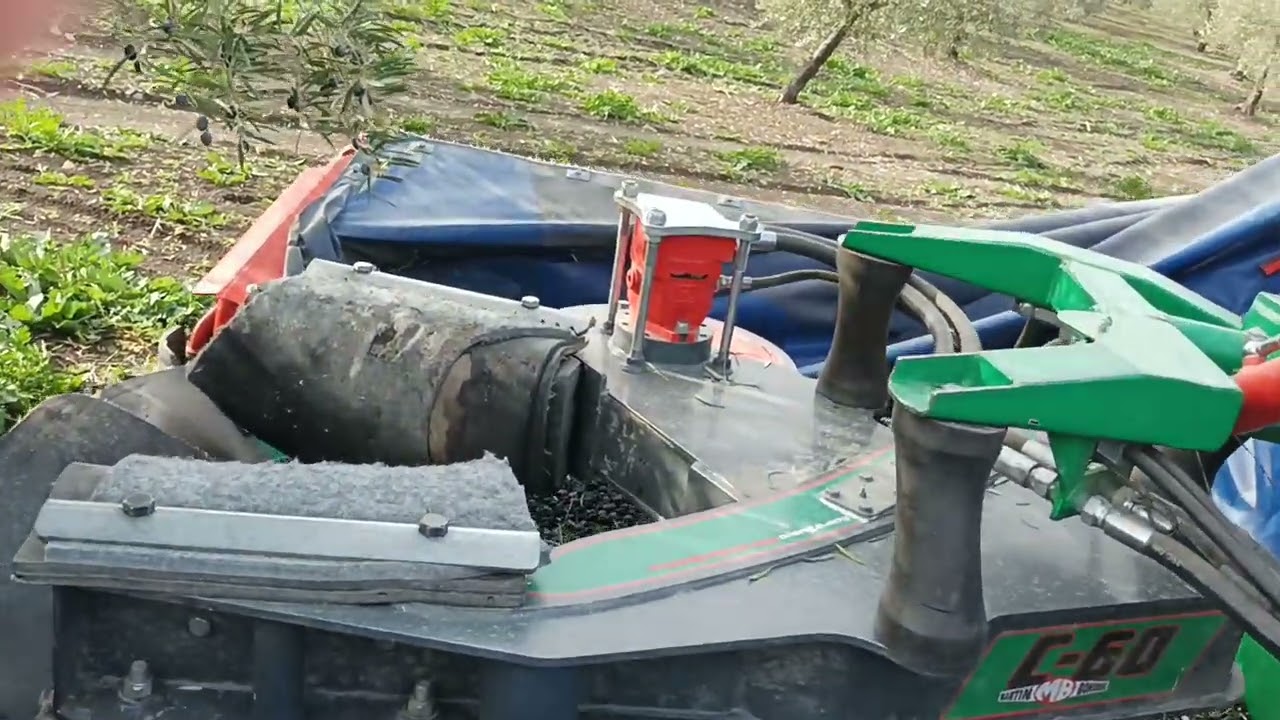 Paraguas Martín Bohórquez 2