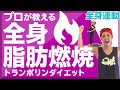 全身脂肪燃焼！トランポリンダイエット 【カロリー消費+スタイルアップ 痩せるエクササイズ】