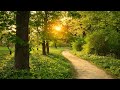 10 HOURS Relaxing Piano Music, Nature Sounds, Emotional Sad Music, Sleep Music