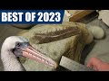 2023 fossil highlights and pelagornis beak update back to university