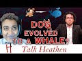 Atheists Think I'm Trolling When Using LOGIC and REASON | Joseph - NV | Talk Heathen 04.23