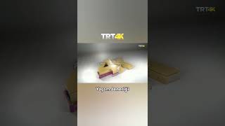 Trt 4K Yaşam Jeneriği