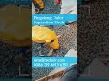 Ceramic Intalox Saddle Packing for Absorption & Scrubber Towers| Pingxiang Daier Packing