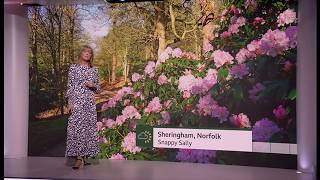 Weather images - Spring is here - both meteorologically and in feel + a look ahead (UK) 2/Mar/2026