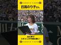 『南ちゃん』が甲子園に!#日髙のり子 さんがTVアニメ『MIX MEISEI STORY』コラボデーで甲子園にお越しいただき、試合前の甲子園球場を盛り上げていただきました!#shorts