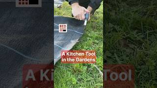 A Kitchen Tool in the Gardens #weedsuppresion #groundcoverfabric #gardentools #resilientgarden