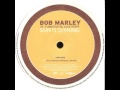 Capture de la vidéo Bob Marley Vs Funkstar De Luxe - Sun Is Shining (Funkstars Club Mix)