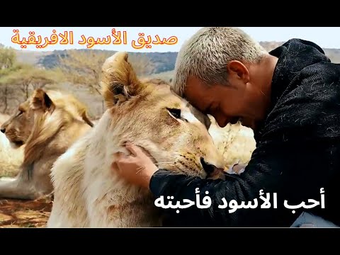   بدء بالبكاء حين استقبلته الاسود كواحد منهم بعد فراق طويل